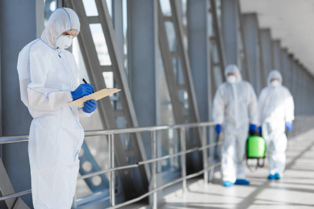 Best Black Mold Removal  in Wiggins, CO