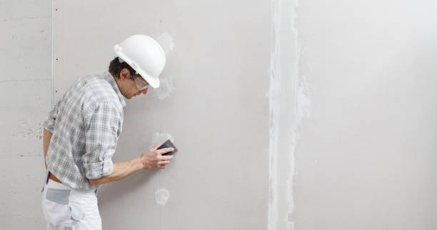 Best Post-Remediation Verification Testing  in Wiggins, CO