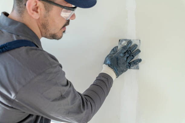Best Water Damage & Mold Remediation  in Wiggins, CO